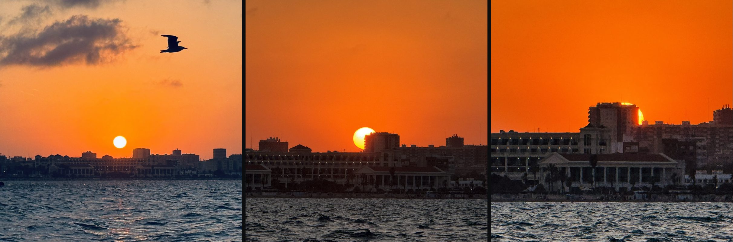 Three photos of one sunset over the Valencia waterfront, taken minutes apart: a gull crossing the sky above the sinking sun, the sun touching a tower block, then only a sliver left behind it.